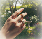 The Shape Bright Ring
