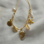 Shell Necklace
